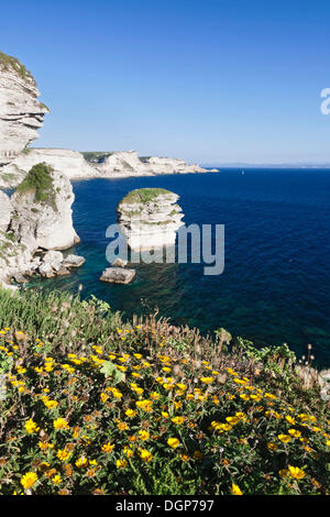 Freistehende Felsen Grain de Sable an der felsigen Küste in der Nähe von Bonifacio, Straße von Bonifacio, Korsika, Frankreich, Europa Stockfoto