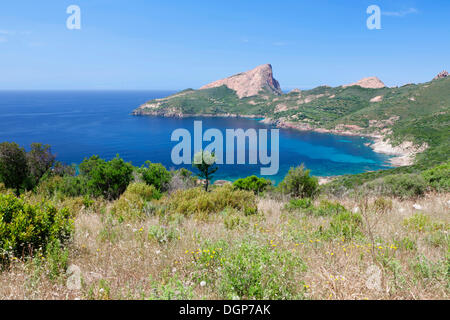 Capo Rosso, Golf von Sagone, West-Korsika, Korsika, Frankreich Stockfoto