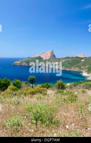 Capo Rosso, Golf von Sagone, West-Korsika, Korsika, Frankreich Stockfoto