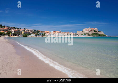 West Strand von Calvi, Balagne, Korsika, Korsika, Frankreich, Europa Stockfoto