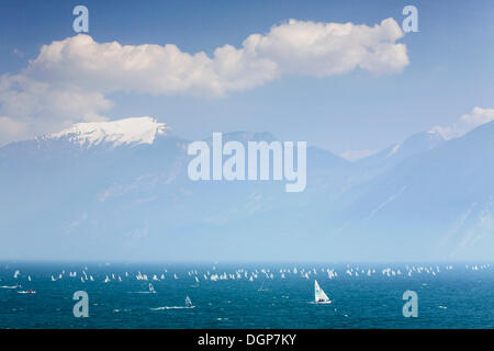 Surfer am Gardasee vor dem Schnee bedeckten Monte Baldo, Lombardei, Italien, Europa Stockfoto