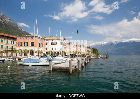 Hafen von Gargnano, hinten Monte Baldo, Gardasee, Lombardei, Italien, Europa Stockfoto