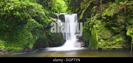 Wasserfall Geroldsau, Schwarzwald, Baden-Württemberg Stockfoto