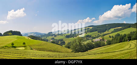 Glottertal-Tal in der Nähe von St. Maergen, Schwarzwald, Baden-Württemberg Stockfoto