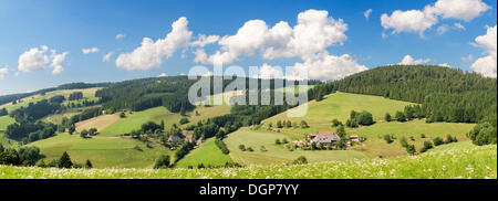 Glottertal-Tal in der Nähe von St. Maergen, Schwarzwald, Baden-Württemberg Stockfoto