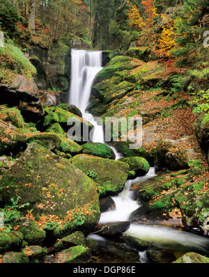 Wasserfall in der Nähe von Triberg, mittlerer Schwarzwald, Baden-Württemberg Stockfoto