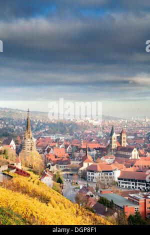 Blick von einer Gratwanderung in Richtung Esslingen im Herbst, Esslingen am Neckar, Baden-Württemberg Stockfoto