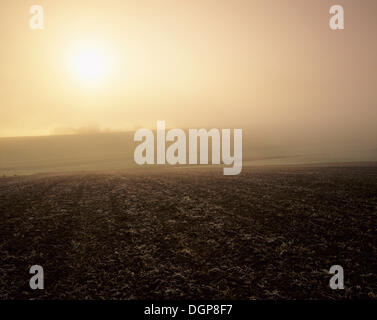 Sonnenaufgang über ein Feld im Herbst, in der Nähe von Weilheim, Schwäbische Alb, Baden-Württemberg Stockfoto