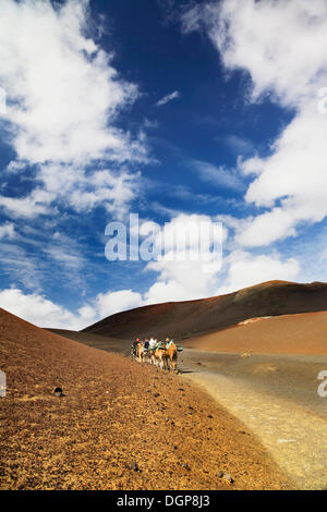 Touristen, die Reiten Dromedare in den Nationalpark Timanfaya, Lanzarote, Kanarische Inseln, Spanien, Europa Stockfoto