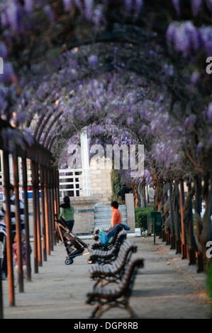 Toledo ist eine Gemeinde in Zentralspanien, südlich von Madrid. Stockfoto