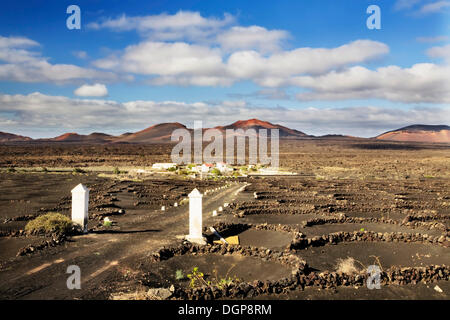 Eingang zur Finca in das Weinbaugebiet von La Geria, Lanzarote, Kanarische Inseln, Spanien, Europa Stockfoto