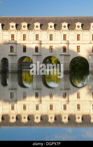 Château de Chenonceau, Departement Indre et Loire, Region Centre, Frankreich, Europa Stockfoto