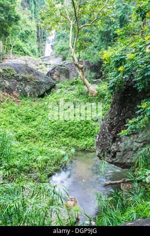 Katarakt in Hauykeaw Wasserfall, Doi Suthep-Pui Nationnal Park, Chaingmai Thaland Stockfoto