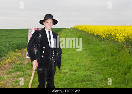 Tischler Geselle auf der Rolle Stockfoto