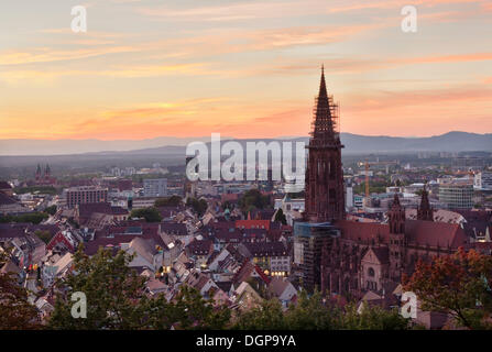 Blick auf die Kathedrale von Freiburg Im Breisgau, Baden-Württemberg Stockfoto