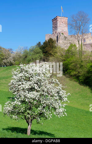 Burg Roetteln Castle, Lörrach, Markgraeflerland, Südschwarzwald, Baden-Württemberg Stockfoto