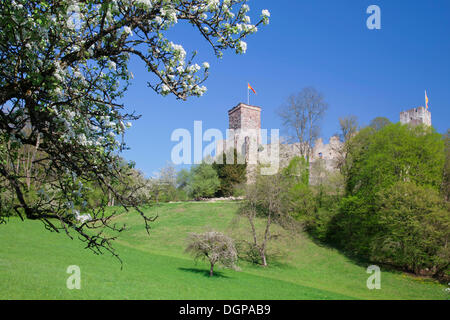 Burg Roetteln Castle, Lörrach, Markgraeflerland, Südschwarzwald, Baden-Württemberg Stockfoto