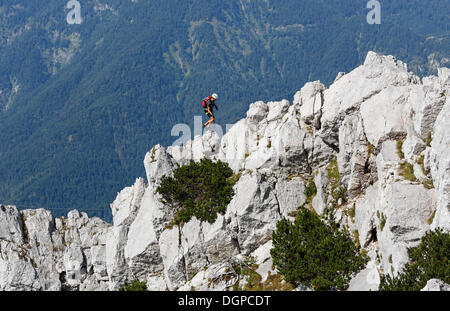 Seil-Route auf Katrin Berg fixiert, in der Nähe von Katergebirge Bergen Bad Ischl Salzkammergut Erholungsgebiet, Traunviertel region Stockfoto