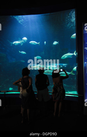 L'Oceanogràfic, befindet sich ein Marine Park in der Stadt der Künste und Wissenschaften von Valencia, Spanien. Stockfoto