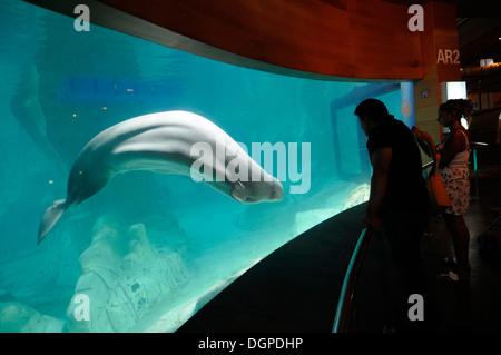 L'Oceanogràfic, befindet sich ein Marine Park in der Stadt der Künste und Wissenschaften von Valencia, Spanien. Stockfoto