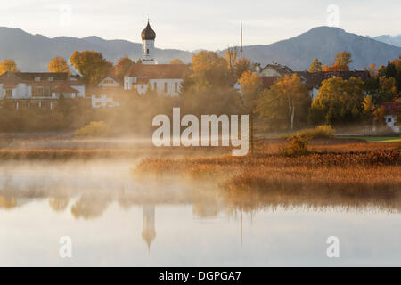 Iffeldorf, See Sengsee in den frühen Morgen, Osterseen Seen, Fuenfseenland Region, Bayern, Oberbayern Stockfoto