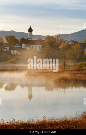 Iffeldorf, See Sengsee in den frühen Morgen, Osterseen Seen, Fuenfseenland Region, Bayern, Oberbayern Stockfoto