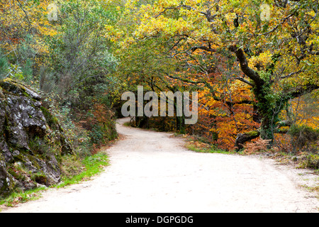 Nationalpark von Gêres in Portugal Stockfoto