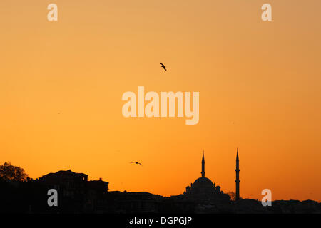Fatih-Moschee bei Sonnenuntergang, Fatih Bezirk, Istanbul, Türkei, Europa Stockfoto