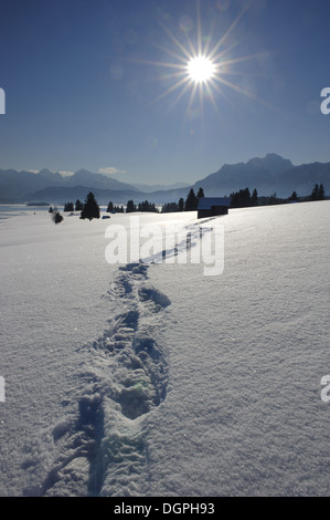 Wanderweg im Neuschnee Stockfoto