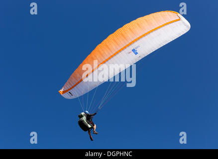 Gleitschirm Gleitschirmfliegen, Zwölferhorn, Sankt Gilgen, Salzkammergut, Salzburger Land, Österreich Stockfoto