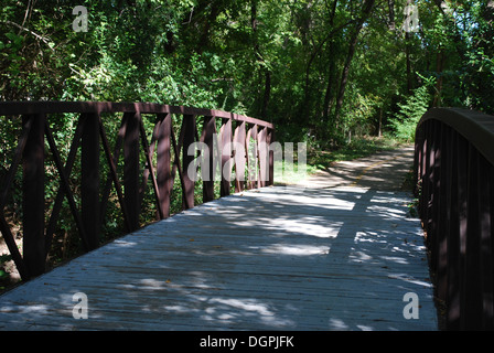 Natürliche Hive Bienenschwarm auf Trail Kopf Trail Stockfoto