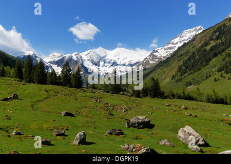 Glockner Gruppe, Aussicht vom Großglockner Hochalpenstraße, Nationalpark Hohe Tauern, Salzburger Land, Österreich Stockfoto