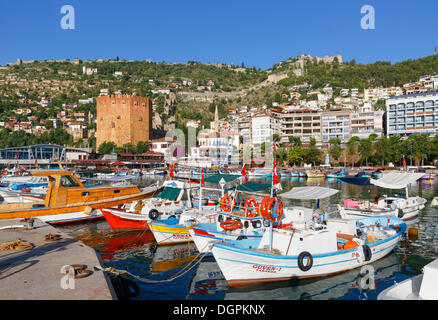 Angeln, Hafen und Kizil Kule, roten Turm, Alanya, türkische Riviera, Provinz Antalya, Mittelmeerregion, Türkei Stockfoto