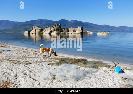 Byzantinische Festung auf einer Insel im See Bafa, Hund und ein Fischernetz zum Ufer, See Bafa, Muğla Provinz, Ägäis Stockfoto