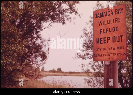 JAMAICA BAY-IN DEN PFAD DES ATLANTISCHEN FLUGROUTE, DIE ROUTE DER MIGRATION VÖGEL 547865 Stockfoto