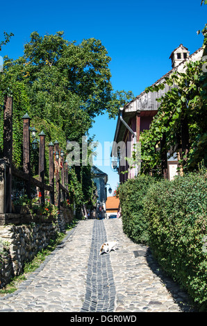 Sighisoara/Schäßburg gilt als die schönste und gut erhaltene bewohnten Zitadelle in Europa, mit authentischen mittelalterlichen Häusern Stockfoto