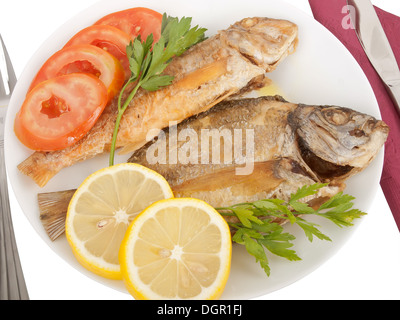 Diplodus Puntazzo und Mullus Surmuletus leckere gegrillte Fische mit in Scheiben geschnittenen Tomaten, Zitrone und Petersilie; alles in Olivenöl Stockfoto