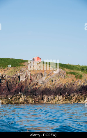 Rote Hütte und Vogel verstecken in South Haven, Insel Skokholm, South Pembrokeshire, Wales, Vereinigtes Königreich Stockfoto