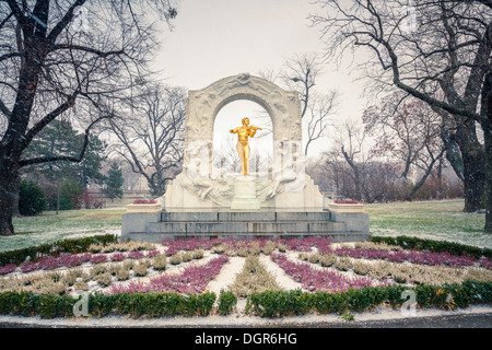 Strauss im Schneesturm Stockfoto