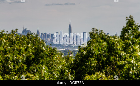 Blick durch Büsche auf das Empire State Building, wie gesehen von Eagle Rock Reservation, NJ Stockfoto