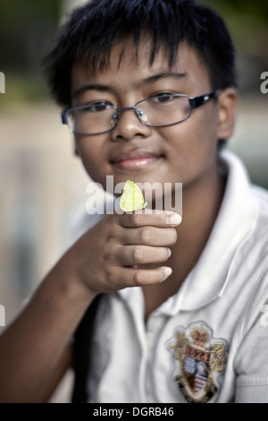 Schmetterling für Kinder. Kleiner Junge und zahmer Schmetterling Stockfoto