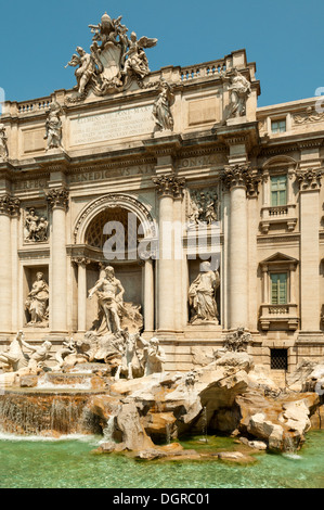 Fontana di Trevi, Rom, Latium, Italien Stockfoto