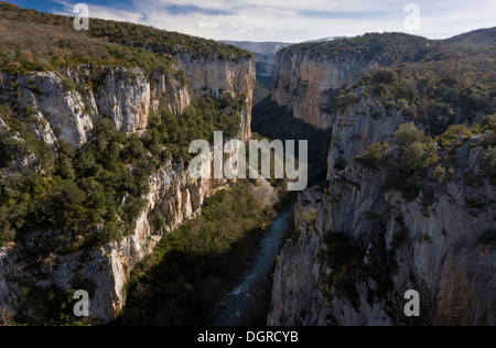 Arbayun Schlucht / Foz de Arbayun zu reservieren. Kalkstein-Schlucht bekannt für Zucht, Geier und Raubvögel. Navarra. Spanien Stockfoto