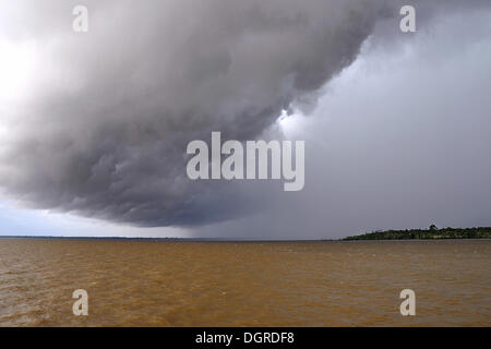 Bedrohliche Wolke vor der Bekanntgabe ein tropischer Sturm, der Amazonas von Manaus und Amazonas Santarem, Provinz, Brasilien Stockfoto