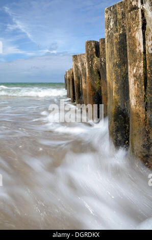 Buhnen in surf, Darß-Zingst, Nationalpark Vorpommersche Boddenlandschaft, Mecklenburg-Vorpommern Stockfoto