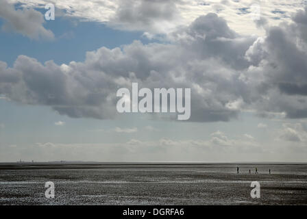 Wandern auf das Watt im Süden der nordfriesischen Insel Pellworm, Nordfriesland, Schleswig- Holstein Stockfoto