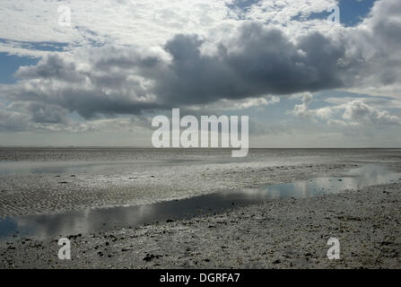 Wattenmeer bei Ebbe, auf der Rückseite der Halbinsel Eiderstedt, Nordfriesische Insel Pellworm, Nordfriesland, Schleswig- Holstein Stockfoto