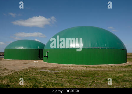 Landwirtschaftlichen Biogasanlage, Biomasse Kraftwerk mit Kraft-Wärme-Kopplung, KWK, für Strom- und Wärmeerzeugung Stockfoto