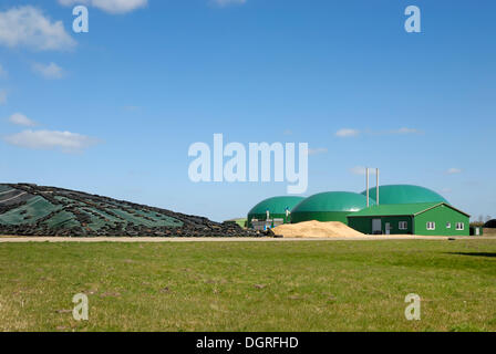 Biogasanlage, Biomasse Kraftwerk, mit Blockheizkraftwerk, KWK, und einem angrenzenden Silo, Silomais Stockfoto