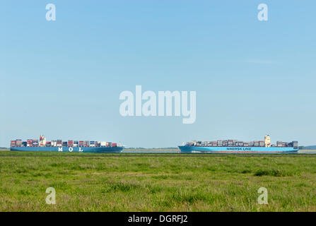 Zwei Containerschiffe jeder sonstigen Weitergabe der unteren Elbe, Landkreis Dithmarschen, Schleswig- Holstein Stockfoto